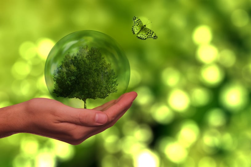 sustainable workflow